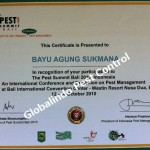 certificate-pest-summit-bali