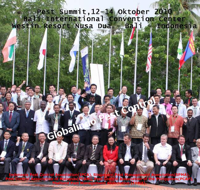 Pest Summit 2010 Bali